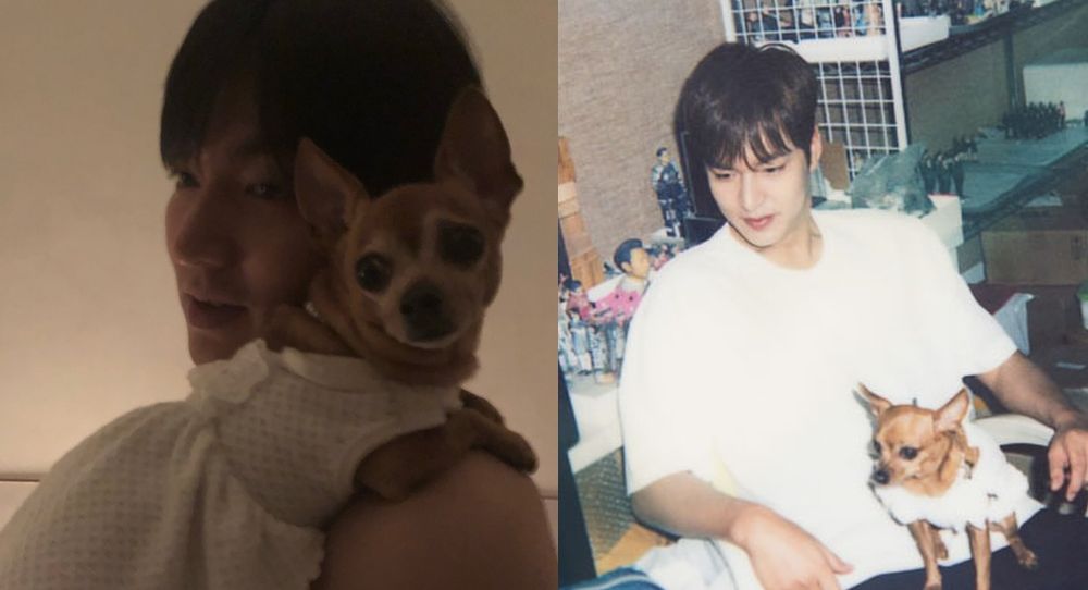 Lee Min Ho shares emotional farewell after losing his dog of 16 years and fans are heartbroken over his touching tribute