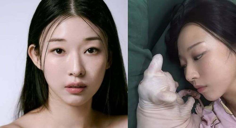 Kim Sun Ah shares touching update on late Sulli’s beloved cat Blin and fans are moved by her unchanged love